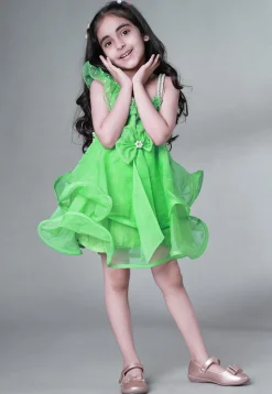 Embellished Organza Dress in Light Green
