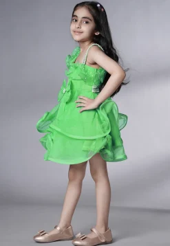 Embellished Organza Dress in Light Green