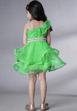 Embellished Organza Dress in Light Green