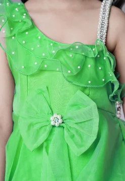 Embellished Organza Dress in Light Green