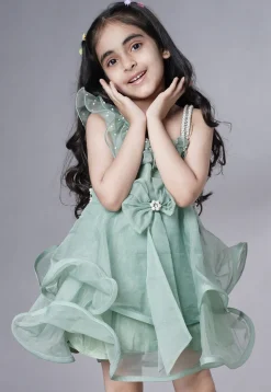 Embellished Organza Dress in Dusty Green
