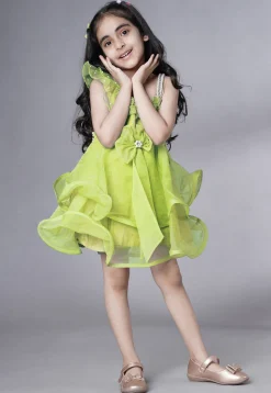 Embellished Organza Dress in Olive Green