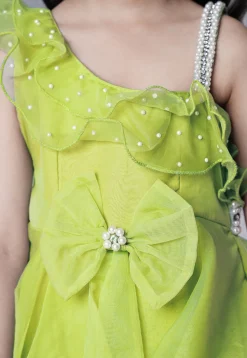 Embellished Organza Dress in Olive Green