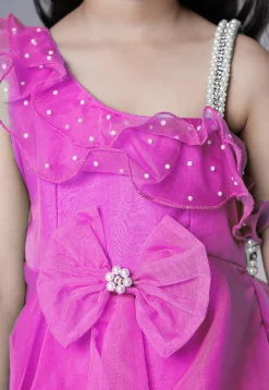 Embellished Organza Dress in Fuchsia