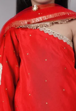 Embellished Shantoon Asymmetric Pakistani Suit in Red