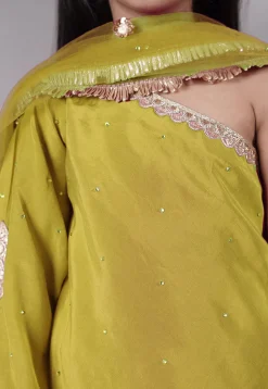 Embellished Shantoon Asymmetric Pakistani Suit in Olive Green