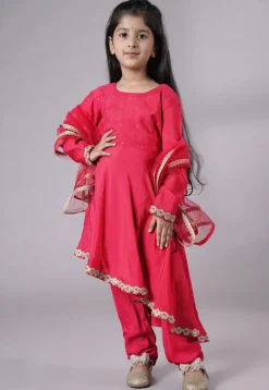 Embellished Shantoon Punjabi Suit in Pink