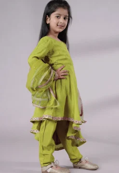 Embellished Shantoon Punjabi Suit in Olive Green