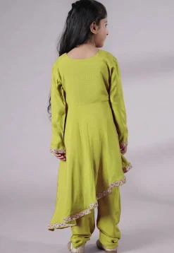 Embellished Shantoon Punjabi Suit in Olive Green