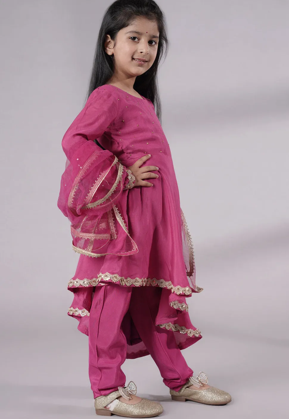 Embellished Shantoon Punjabi Suit in Pink