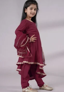 Embellished Shantoon Punjabi Suit in Wine