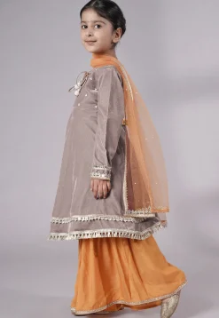 Embellished Velvet Pakistani Suit in Light Grey