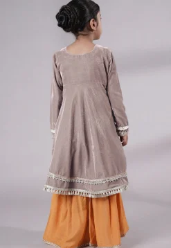 Embellished Velvet Pakistani Suit in Light Grey