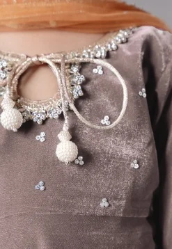 Embellished Velvet Pakistani Suit in Light Grey