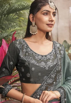 Embroidered Border Chiffon Shimmer Saree in Grey
