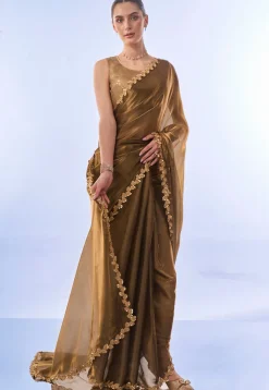 Embroidered Border Chiffon Shimmer Saree in Fawn