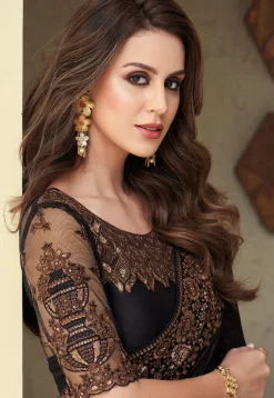 Embroidered Border Chiffon Brasso Saree in Black