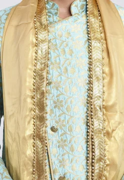 Embroidered Border Georgette Shimmer Dupatta in Beige