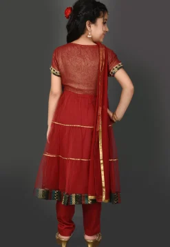 Embroidered Border Net Anarkali Suit in Maroon