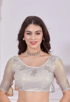 Embroidered Border Net Saree in Off White