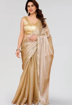 Embroidered Border Tissue Silk Saree in Beige