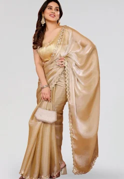 Embroidered Border Tissue Silk Saree in Beige