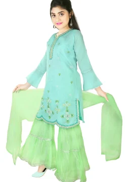 Embroidered Chanderi Cotton Pakistani Suit in Light Blue