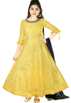 Embroidered Chanderi Silk Gown in Yellow