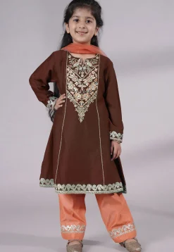 Embroidered Chanderi Silk Punjabi Suit in Brown