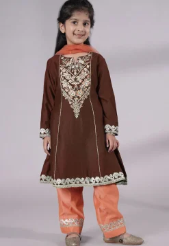 Embroidered Chanderi Silk Punjabi Suit in Brown