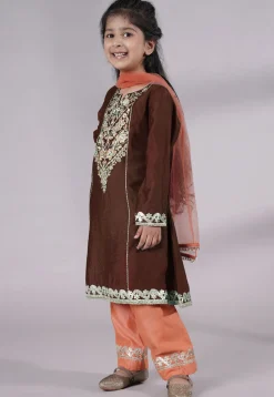 Embroidered Chanderi Silk Punjabi Suit in Brown