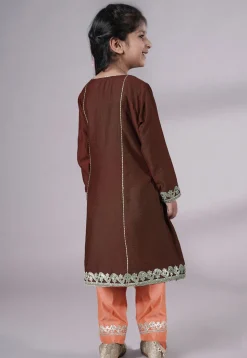 Embroidered Chanderi Silk Punjabi Suit in Brown
