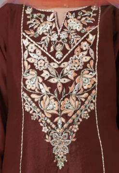 Embroidered Chanderi Silk Punjabi Suit in Brown