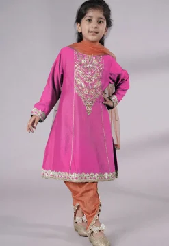 Embroidered Chanderi Silk Punjabi Suit in Pink