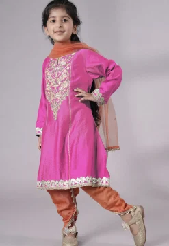 Embroidered Chanderi Silk Punjabi Suit in Pink