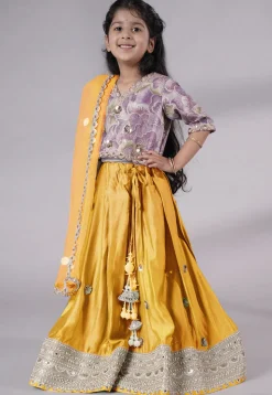Embroidered Chanderi Silk Lehenga in Pink