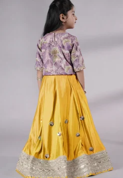 Embroidered Chanderi Silk Lehenga in Pink
