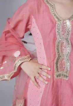 Embroidered Chanderi Silk Punjabi Suit in Baby Pink