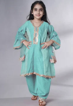 Embroidered Chanderi Silk Punjabi Suit in Sky Blue
