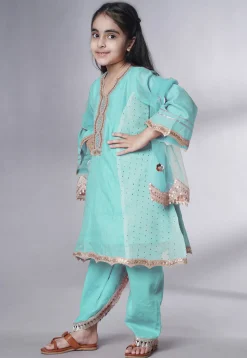 Embroidered Chanderi Silk Punjabi Suit in Sky Blue