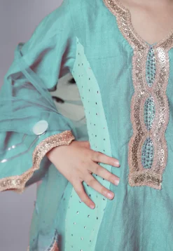Embroidered Chanderi Silk Punjabi Suit in Sky Blue