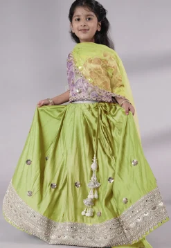 Embroidered Chanderi Silk Lehenga in Olive Green