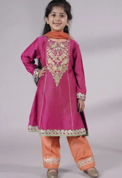 Embroidered Chanderi Silk Punjabi Suit in Magenta