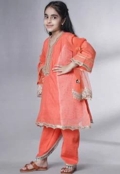Embroidered Chanderi Silk Punjabi Suit in Peach