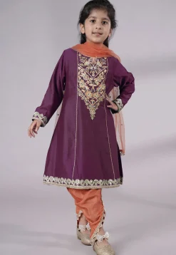 Embroidered Chanderi Silk Punjabi Suit in Wine