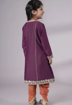 Embroidered Chanderi Silk Punjabi Suit in Wine