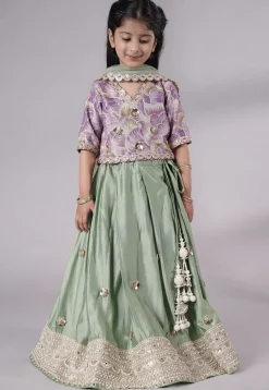 Embroidered Chanderi Silk Lehenga in Green