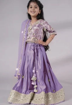Embroidered Chanderi Silk Lehenga in Purple