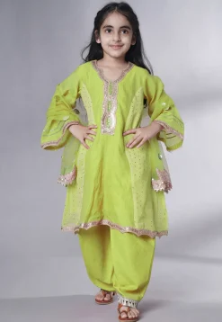 Embroidered Chanderi Silk Punjabi Suit in Light Green