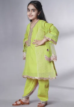 Embroidered Chanderi Silk Punjabi Suit in Light Green